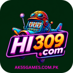 HI309 Game