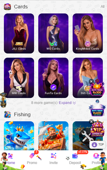 HI309 Game